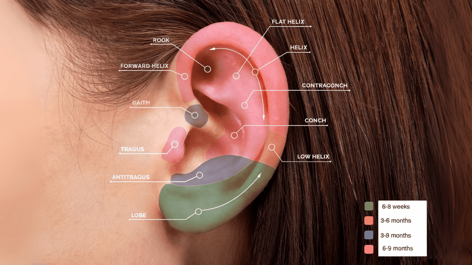 Piercing Types and Healing Times